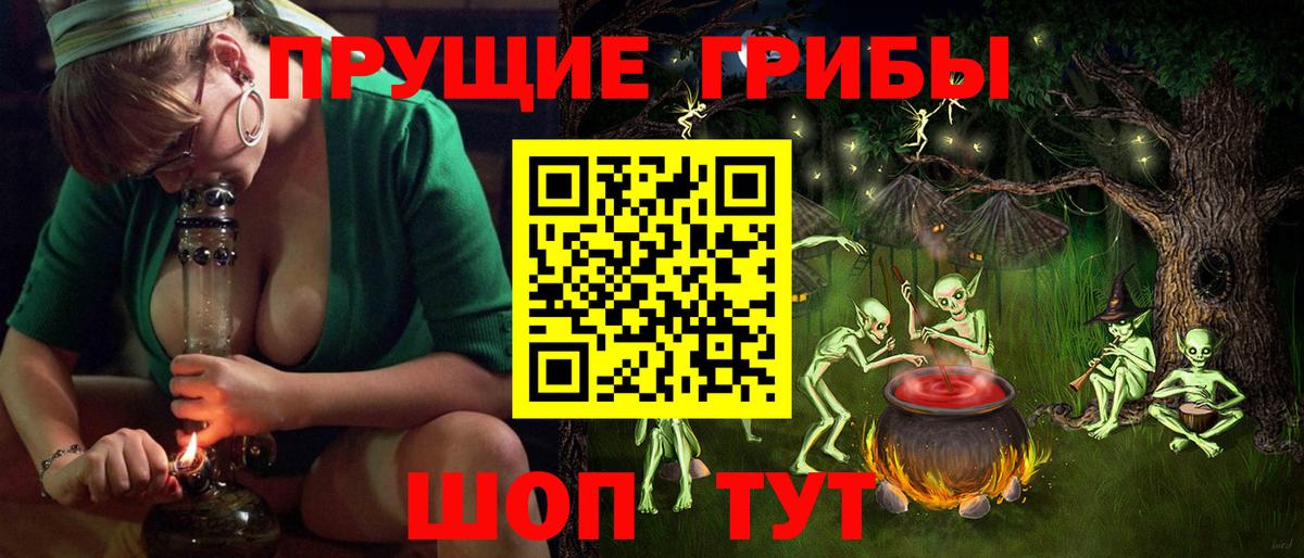 Псилоцибиновые грибы мицелий Батайск